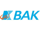 bak battery